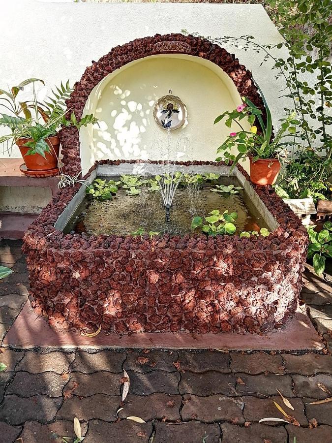 Apartamentos Jardim Funchal  Zewnętrze zdjęcie